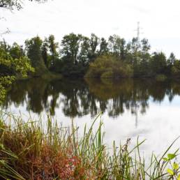 Etang fédéral de la gare d'eau de Vieux Condé dans le Nord