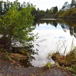 Etang fédéral de la gare d'eau de Vieux Condé dans le Nord