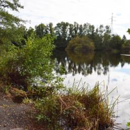 Etang fédéral de la gare d'eau de Vieux Condé dans le Nord