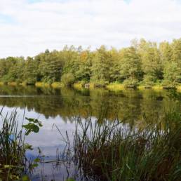 Etang fédéral de la gare d'eau de Vieux Condé dans le Nord
