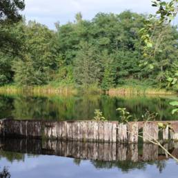 Etang fédéral de la gare d'eau de Vieux Condé dans le Nord