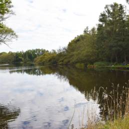 Etang fédéral de la gare d'eau de Vieux Condé dans le Nord