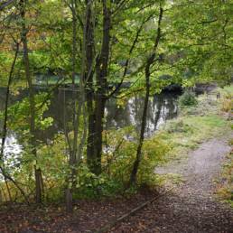 Etang fédéral de la gare d'eau de Vieux Condé dans le Nord