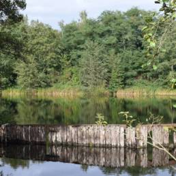 Etang fédéral de la gare d'eau de Vieux Condé dans le Nord