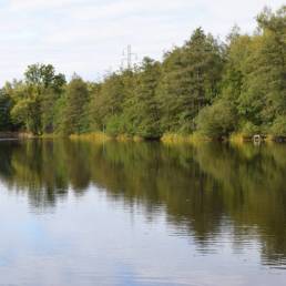 Etang fédéral de la gare d'eau de Vieux Condé dans le Nord