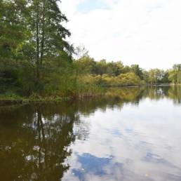 Etang fédéral de la gare d'eau de Vieux Condé dans le Nord