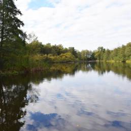 Etang fédéral de la gare d'eau de Vieux Condé dans le Nord