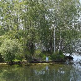 Etang des Argales à Rieulay dans le Nord