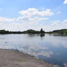 Etang des Argales à Rieulay dans le Nord