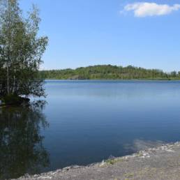 Etang des Argales à Rieulay dans le Nord