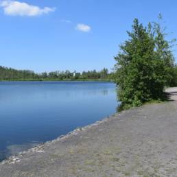 Etang des Argales à Rieulay dans le Nord
