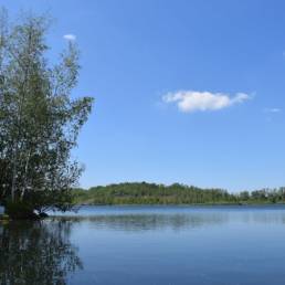 Etang des Argales à Rieulay dans le Nord