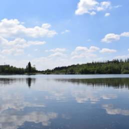 Etang des Argales à Rieulay dans le Nord