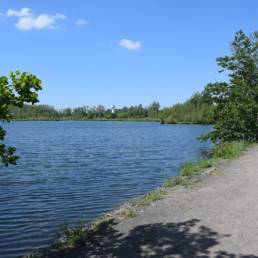 Etang des Argales à Rieulay dans le Nord