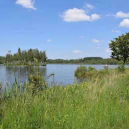 Etang des Argales à Rieulay dans le Nord