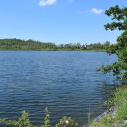 Etang des Argales à Rieulay dans le Nord