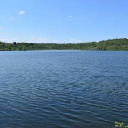 Etang des Argales à Rieulay dans le Nord