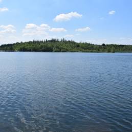 Etang des Argales à Rieulay dans le Nord