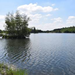 Etang des Argales à Rieulay dans le Nord