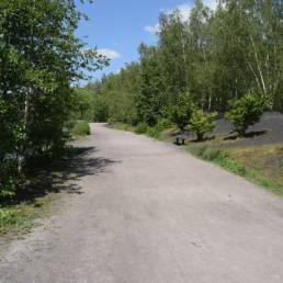 Etang des Argales à Rieulay dans le Nord