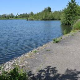 Etang des Argales à Rieulay dans le Nord