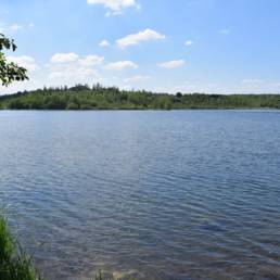 Etang des Argales à Rieulay dans le Nord