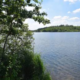 Etang des Argales à Rieulay dans le Nord