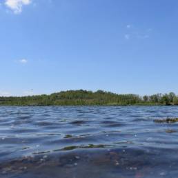 Etang des Argales à Rieulay dans le Nord