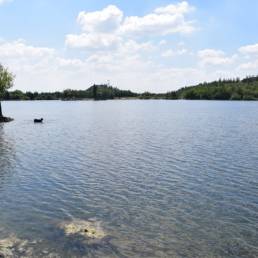 Etang des Argales à Rieulay dans le Nord