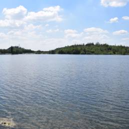 Etang des Argales à Rieulay dans le Nord