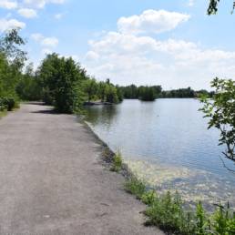 Etang des Argales à Rieulay dans le Nord