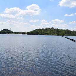Etang des Argales à Rieulay dans le Nord