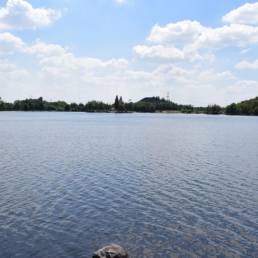 Etang des Argales à Rieulay dans le Nord