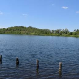 Etang des Argales à Rieulay dans le Nord
