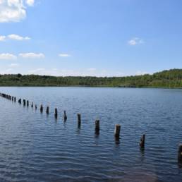 Etang des Argales à Rieulay dans le Nord