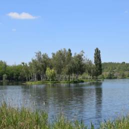 Etang des Argales à Rieulay dans le Nord