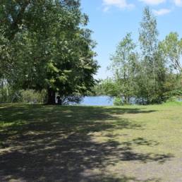 Etang des Argales à Rieulay dans le Nord