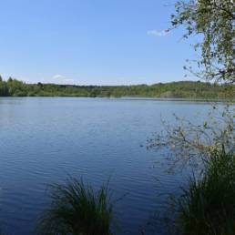 Etang des Argales à Rieulay dans le Nord