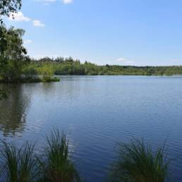 Etang des Argales à Rieulay dans le Nord
