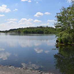 Etang des Argales à Rieulay dans le Nord