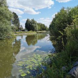 Etang fédéral des Evoïches à Marchiennes