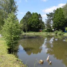 Etang fédéral des Evoïches à Marchiennes