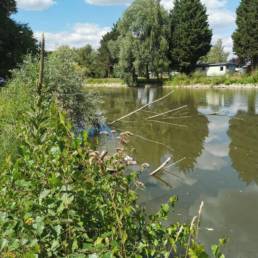 Etang fédéral des Evoïches à Marchiennes