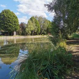 Etang fédéral des Evoïches à Marchiennes