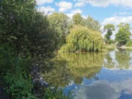 Etang fédéral des Evoïches à Marchiennes