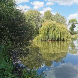 Etang fédéral des Evoïches à Marchiennes