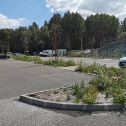 Etang fédéral des Evoïches à Marchiennes