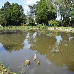 Etang fédéral des Evoïches à Marchiennes