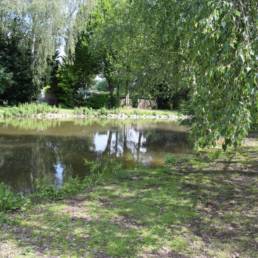 Etang fédéral des Evoïches à Marchiennes