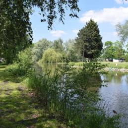 Etang fédéral des Evoïches à Marchiennes